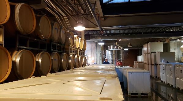 Winemaking Room Looking Over Primary Fermentation Vats